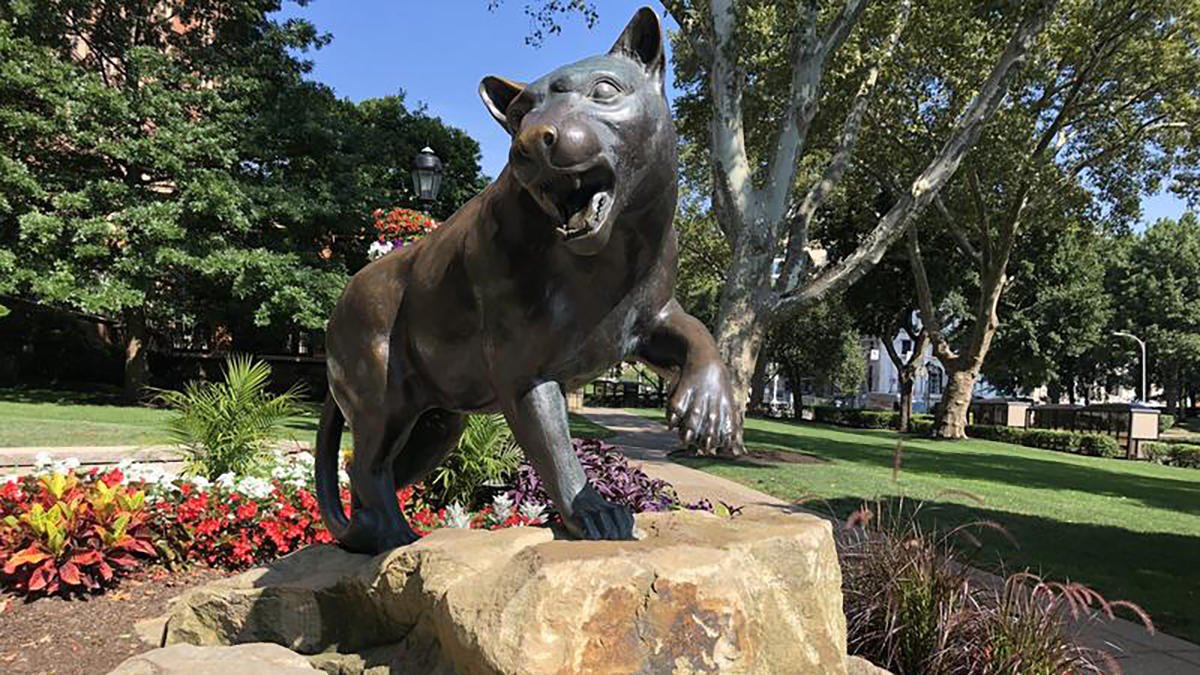 Over 100 years ago, Roc wasn&#39;t the only Panther prowling around #Pittsburgh! Learn more about the panther&#39;s history in PA and at Pitt here: 