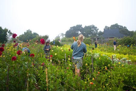 .@UCSC_CASFS will embark on a year long effort to review and refresh its programs including developing new ways to increase food insecurity support for undergraduate and graduate students. 