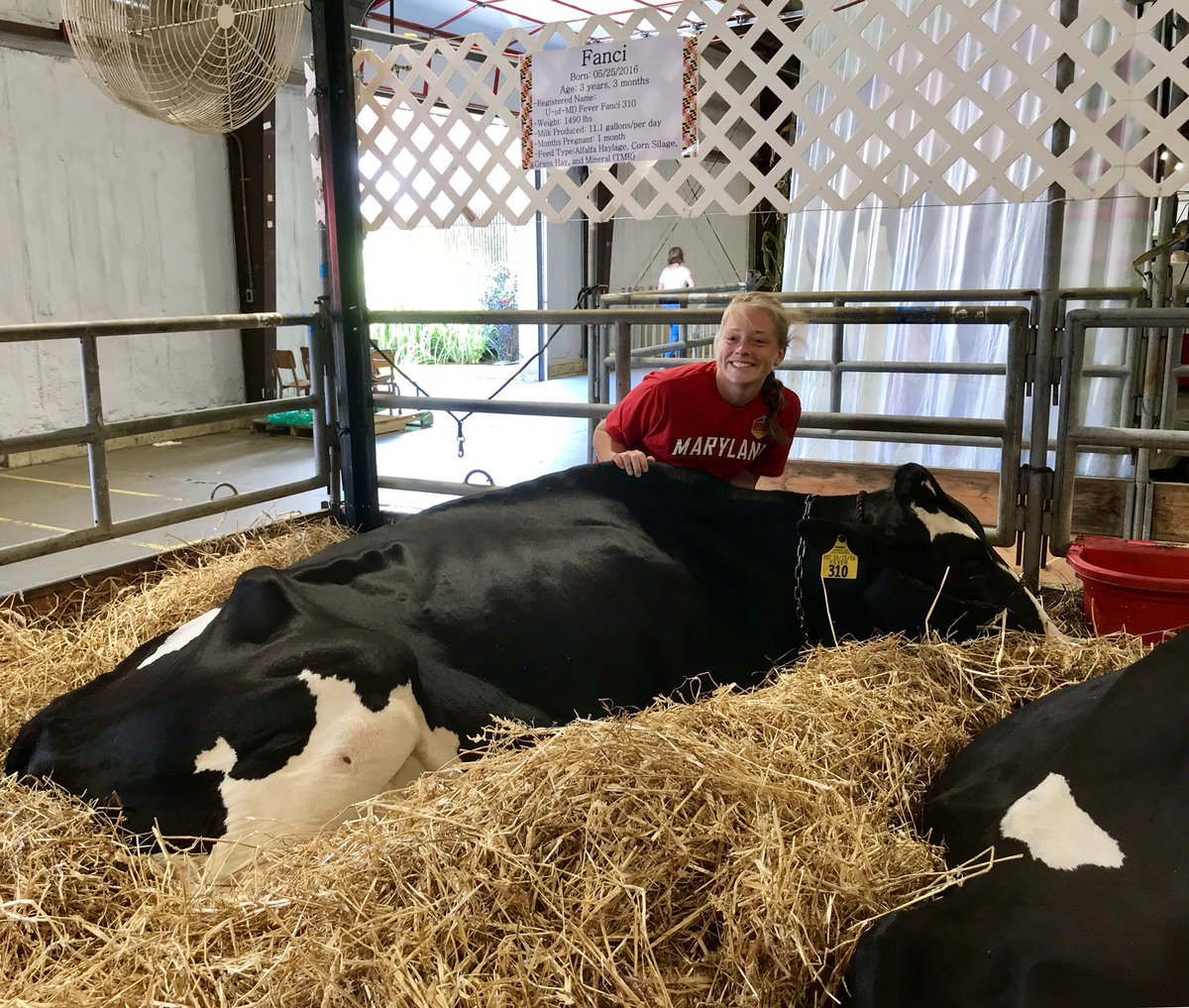 #UMD Day at the @MDStateFair is today! Join us for performances, giveaways, showcases and more: 