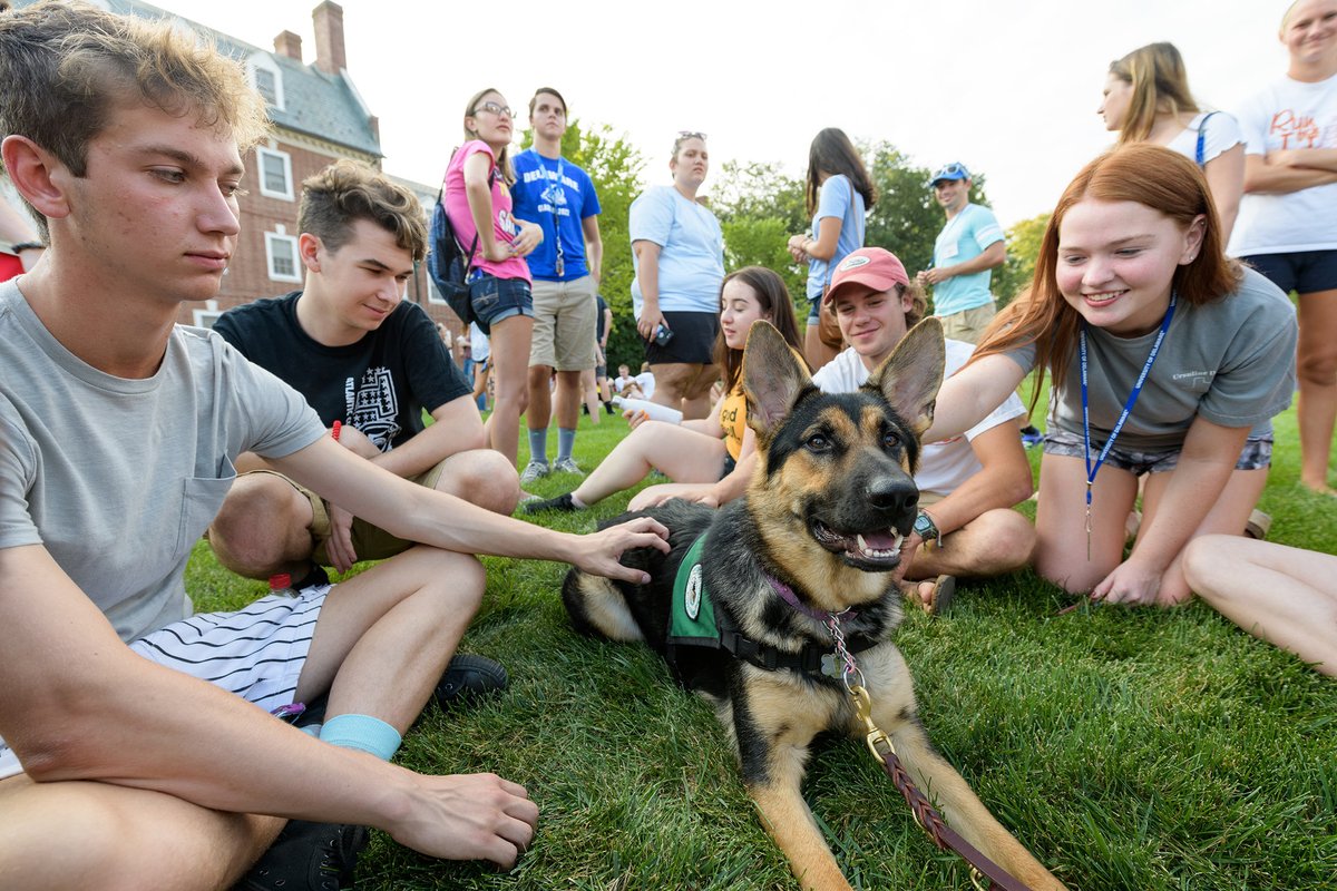 We sure love our #UDel pups! Happy #NationalDogDay 