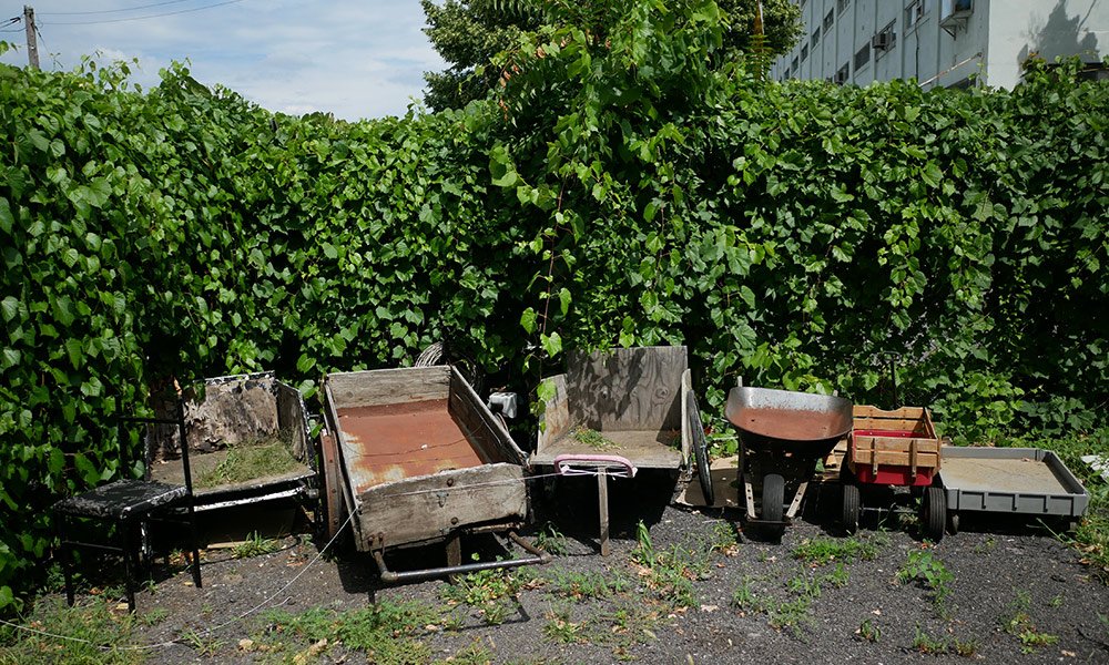 In her highly visual, multi-year project “Fertile Ground,” University of Rochester cultural anthropologist Kathryn Mariner is researching placemaking in the city of #ROC, and her focus on how community is formed is shared by this year’s Humanities Center lectures. #URhumanities