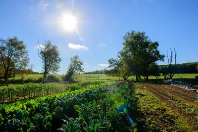 It&#39;s a busy &quot;thyme&quot; of year at @StudentFarmPSU! After a successful Harvest Festival, members of the #PennState Student Farm Club are looking forward to a semester of hands-on work, advocacy, education, and growth! 